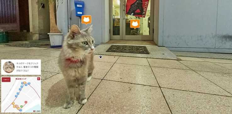 Cat Street View, une application pour visiter les rues du Japon dans la peau d’un chat